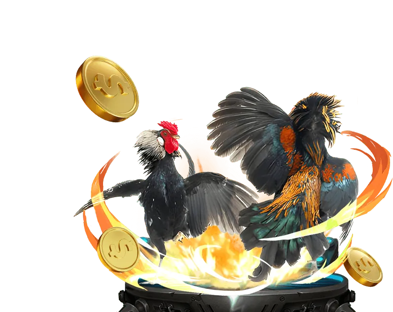 Hoàn trả cược và ưu đãi đặc biệt